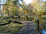 Springendal
